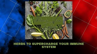 Natures Virus Fighters Herbs to Supercharge Your Immune System [upl. by Kezer614]