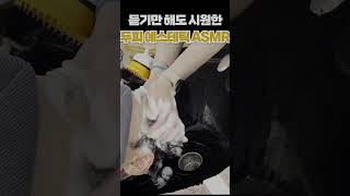 ASMR 듣기만해도 내 두피가 시원해지는 느낌 😶‍🌫️ [upl. by Ardnaxela]