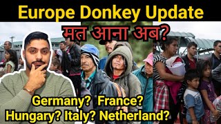 Europe donkey new update  italy donkey from India  serbia donkey to italy portugal donkey Cyprus [upl. by Melody]