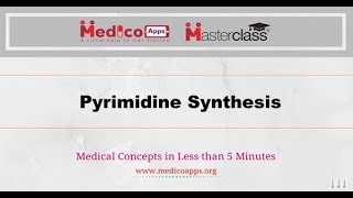 Pyrimidine Synthesis [upl. by Karlene739]