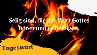 Ja selig sind vielmehr die das Wort Gottes hören und es befolgen [upl. by Cyndia81]