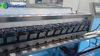 Blueberry packing equipment​berry packing facility​wholesale blueberry weighing packaging machine​ [upl. by Novyaj752]