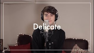 Delicate  Taylor Swift Cover [upl. by Argela]