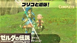 【プリコと遊ぼ！  プリコのイベント】 攻略 ゼルダの伝説 ブレスオブザワイルド quotPlaytime with Cottlaquot Zelda  BREATH OF THE WILD [upl. by Klement]