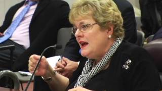 Carol Cocheres testifies at Harrisburg Incinerator Debt hearing November 13 2012 [upl. by Sergo]