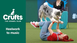 Freestyle International Heelwork to Music Competition  Part 3  Crufts 2022 [upl. by Lishe]