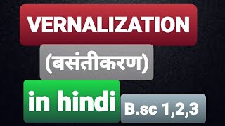 Vernalization बसंतीकरण in hindi BSc biology123। [upl. by Orecic]