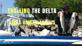 Trolling On The Delta With The Atlas Umbrella Rig [upl. by Niliak504]