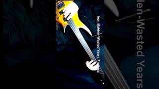 Wasted Years Fretless Bass Cover – Iron Maiden ironmaiden basicallybassguitar [upl. by Enylhsa402]