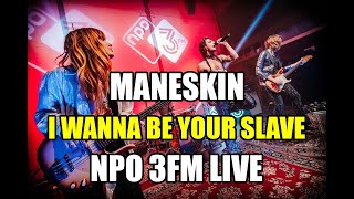 Måneskin  I WANNA BE YOUR SLAVE live from NPO 3FM AMSTERDAM [upl. by Nats]