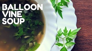 Balloon Vine Soup  Homemade  Healthy Easy amp Simple Recipe [upl. by Aubigny813]