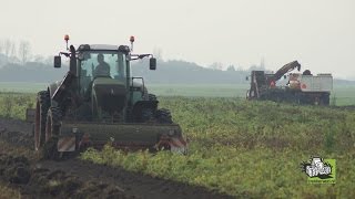 Fendt 930 met twee Fasen Gilles rooimachine Valeriaan rooien Trekkerweb harvest [upl. by Tanhya]