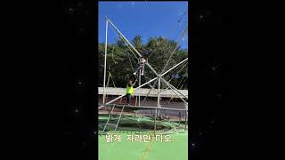 고성 공룡 엑스포 스카이 점프 sky jump [upl. by Intruoc]