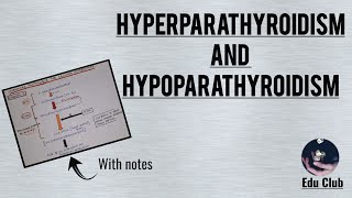 Hyperparathyroidism And Hypoparathyroidism  Disorders Of Calcium Homeostasis [upl. by Rickie]