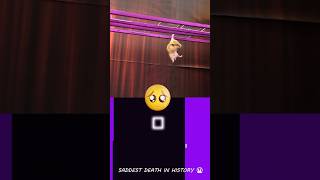 Poor Hamster in Squid Game 😨😨😭  Hamsterious  Bouncing Square squidgame [upl. by Remmus325]