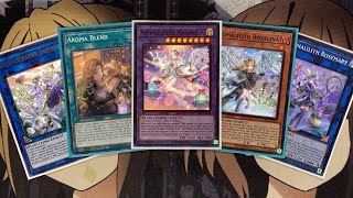 My Aromage Yugioh Deck Profile for Post Phantom Nightmare [upl. by Rhines938]