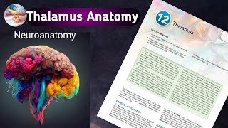 Thalamus Anatomy Functions  Relations amp Connections  Snells Neuroanatomy chapter 12 🧠 [upl. by Harwilll]