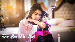 Tere bina ek pal New Hindi Songs of 2024 new Hindi song video [upl. by Assilym19]