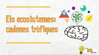 Els ecosistemes cadenes tròfiques  Little Big Genius [upl. by Obrien]