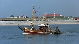 Impressionen von Norderney [upl. by Ilatfen]