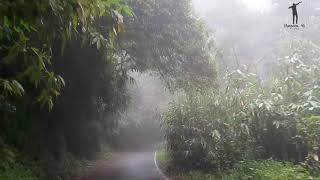 Valparai to Athirapally Falls Road  Best Route For Bike Ride  MansoorAli Vlogs [upl. by Yllak63]