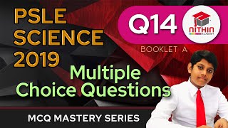 PSLE SCIENCE 2019 BOOKLET A  MCQ Mastery Series  Q14 [upl. by Poore46]