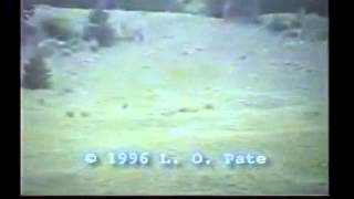 The Pate Bigfoot film AKA the Memorial Day footage [upl. by Dierolf]