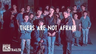 SIFF 2018 Trailer Tigers Are Not Afraid [upl. by Ilatan838]