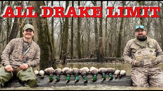 LATE Season Duck Hunting Arkansas Public Land  Trickey Outdoors [upl. by Avad]