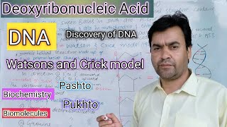 DNA  🧬 Biology  class 11  Dr Mushtaq Pashto Lectures [upl. by Akimet951]