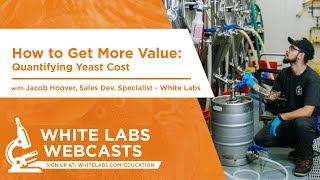 How To Get More Value Quantifying Yeast Costs [upl. by Claudetta]