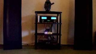 Glorious McIntosh System with Magnepan speakers [upl. by Ellezaj812]