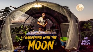 Moon Planting And Gardening Guide  Moon Planting Unlocking the Full Potential of Your Seeds [upl. by Aicertal146]