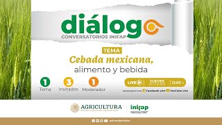 Diálogo 31 Cebada mexicana alimento y bebida [upl. by Bakki]