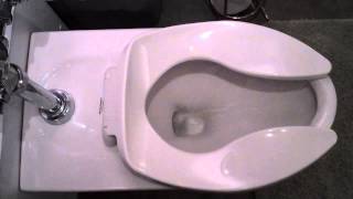 Commercial Flush Toilet in Residential improved plumbing [upl. by Pennington]