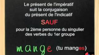 FLE LIMPÉRATIF [upl. by Dylane]