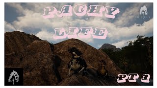 Pachy Life PT 1 The Isle Evrima [upl. by Ihcalam]