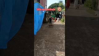 Kolkata catching blind dog and treatment for shelter difficult catching karon dog ta pregnant [upl. by Gebhardt565]