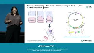 Longread sequencing reveals the molecular landscape of mitochondrial DNA 6mA methylation [upl. by Nilok546]