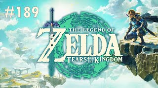 The Legend of Zelda Tears of the Kingdom Switch  Lets Play 189  No Commentary [upl. by Arries]