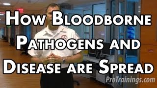 How Bloodborne Pathogens and Disease are Spread [upl. by Gib]