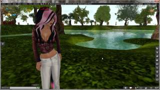 Firestorm Tutorial  Custom Prim Params [upl. by Gray911]