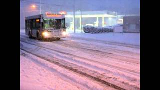 SNOW STORM HITS WASHINGTON amp MARYLAND  GILLIG BUS [upl. by Bradleigh]