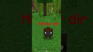 PERRY das Schnabeltier in Minecraft shorts minecraft [upl. by Nirad582]