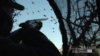 Fall Season with Field Proven Calls quotBEAVER DAM DUCKSquot Episode 5 [upl. by Nesral]