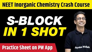 S  BLOCK ELEMENTS in One Shot  All Concepts Tricks amp PYQs  Class 11  NEET [upl. by Gilder658]