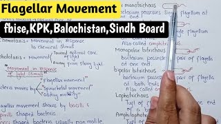 Flagellar Movement  Mortality Of Bacteria  Class 11 Biology [upl. by Nie]