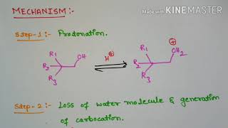 Wagner Meerwein Rearrangement [upl. by Lumbye619]