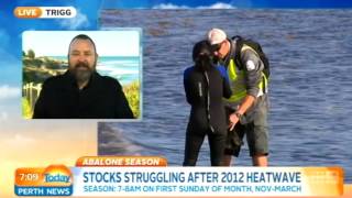 Abalone Crisis  Today Perth News [upl. by Cadmar]