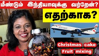 ✈️ மீண்டும் ஊருக்கு கிளம்பியாச்சிஏன்Christmas cake fruit mixingகண் கொள்ளா காட்சி [upl. by Asilrac80]